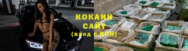 спайс Арсеньев