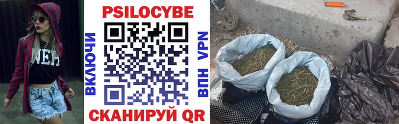 Галлюциногенные грибы прущие грибы  Сланцы 